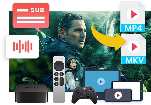 Canal+ Downloader features