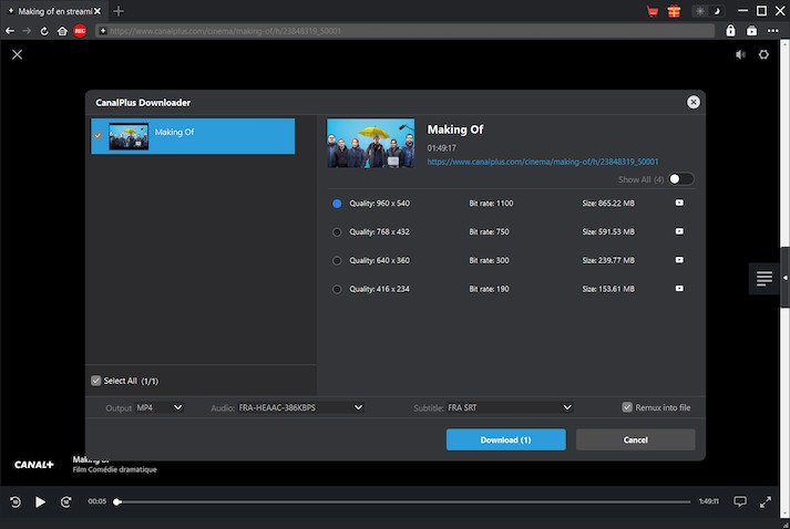 Canal+ Downloader Step3