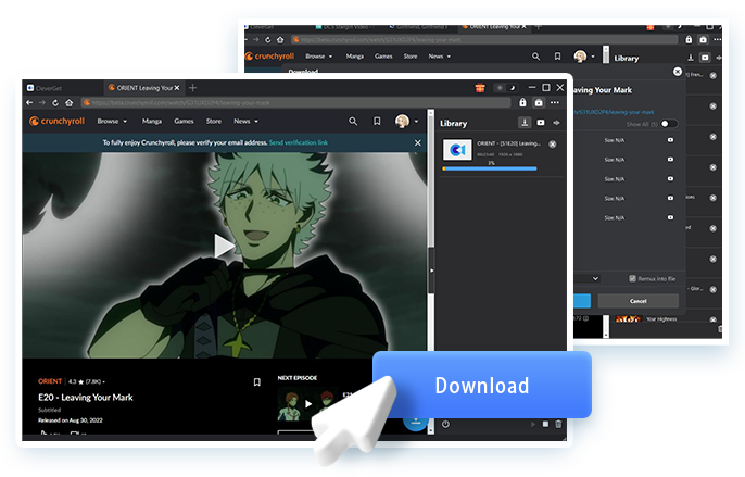 Crunchyroll Downloader Step4