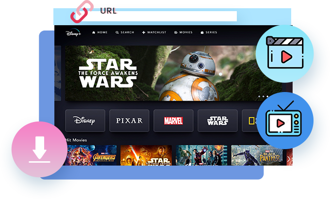 Disney Plus Downloader features