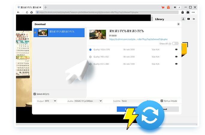 DMM Downloader Step3