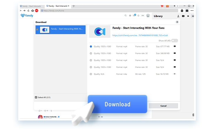 Fansly Downloader Step3