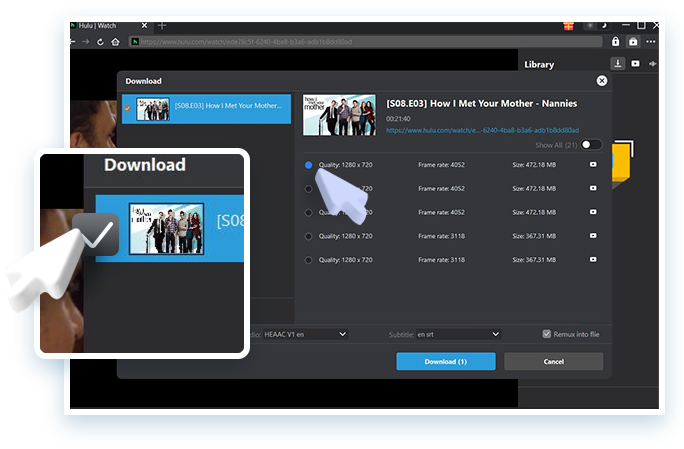 Hulu Downloader Step3