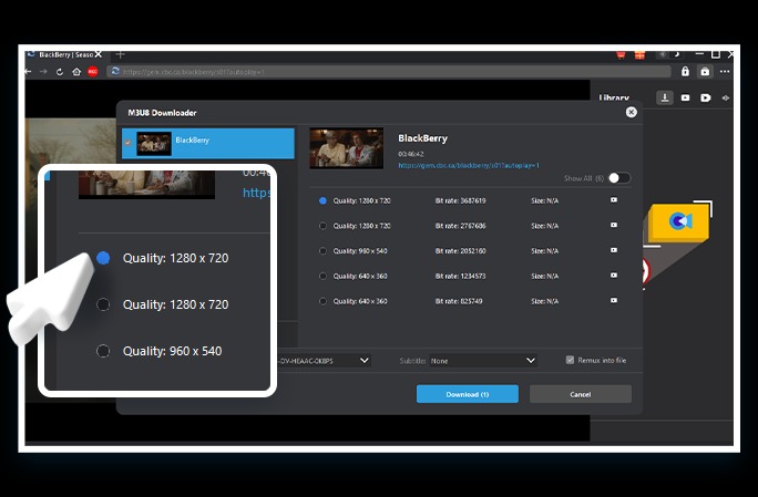 M3U8 Downloader Step3