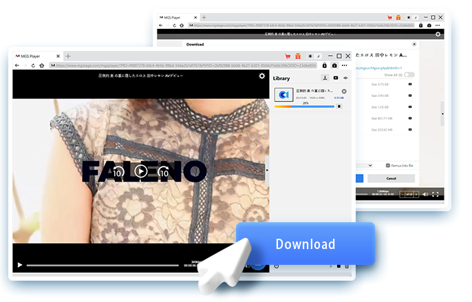 MGS Downloader Step4