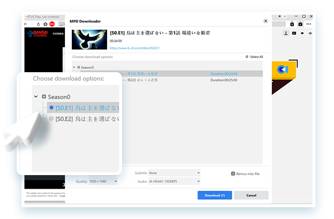 MPD Downloader Step3