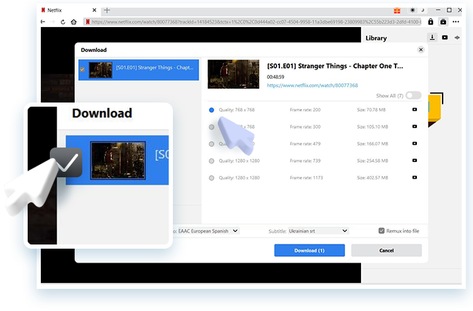 Netflix Downloader Step3