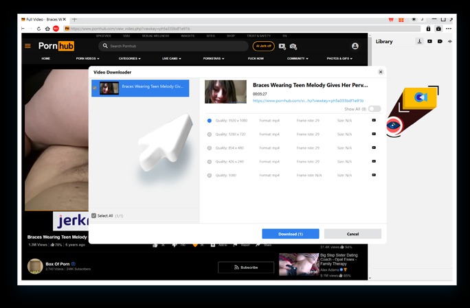 Pornhub Downloader Step3