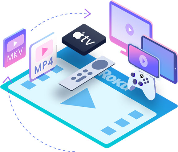 Roku Channel Downloader features