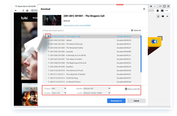 Tubi Downloader Step3