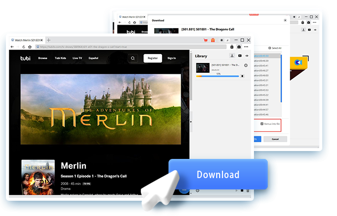 Tubi Downloader Step4