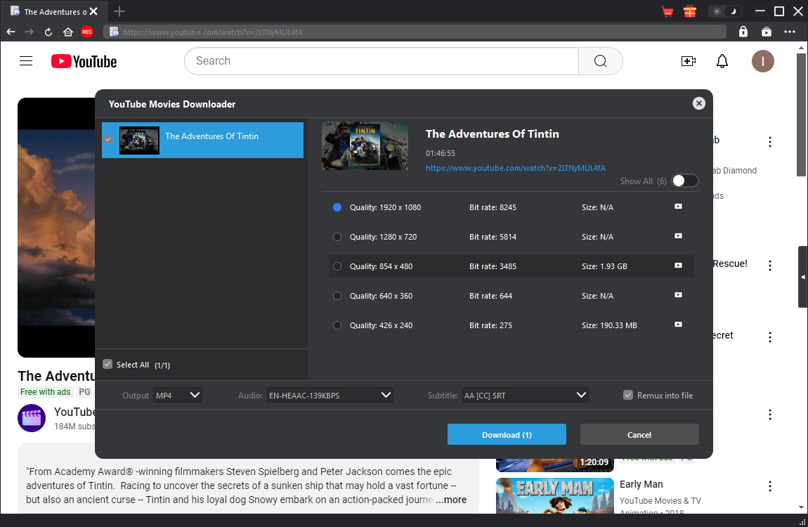 YouTube Movies Downloader Step3